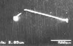 Photo: Gold flash plating on Ni under plating 0.05&micro;m With RP System
